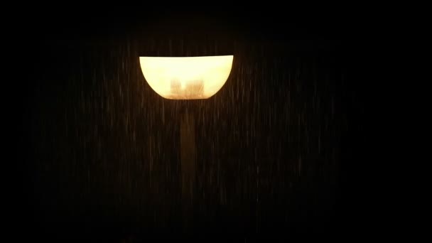 Chuva Caindo Lâmpada Rua Noite — Vídeo de Stock
