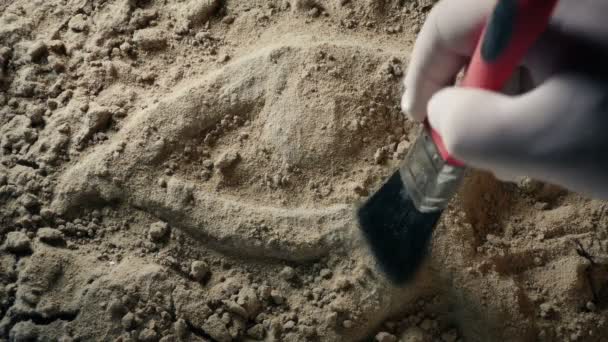 고고학자들 발굴하고 이집트 — 비디오