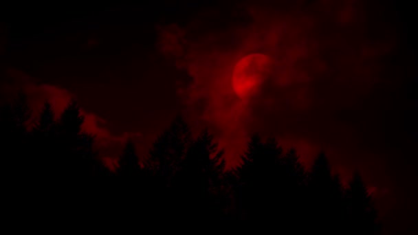 Αίμα Κόκκινο Φεγγάρι Βγαίνει Από Πίσω Σύννεφα Στο Δάσος — Αρχείο Βίντεο