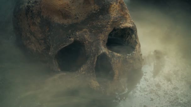 Skull Submerged Swamp Toxic Gas Swirling — Stock Video