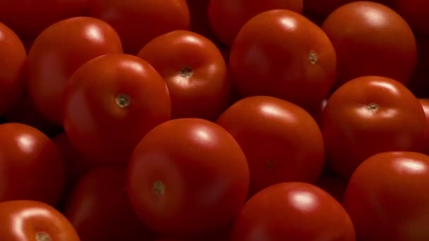 Pile Tomatoes Moving Shot — Stock Video