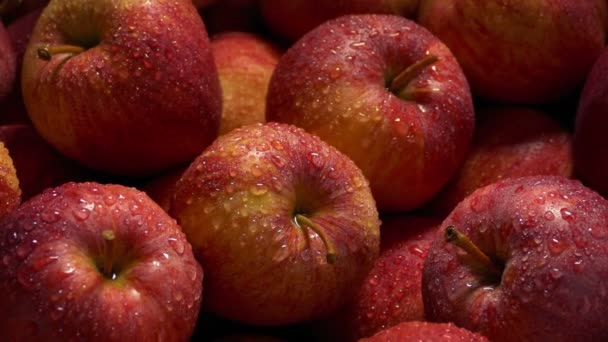 Montón Brillantes Manzanas Rojas Húmedas — Vídeos de Stock