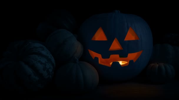 Calabaza Brilla Cara Miedo Lazo Oscuro — Vídeo de stock