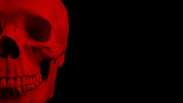 Roter Totenkopf Bewegt Sich — Stockvideo