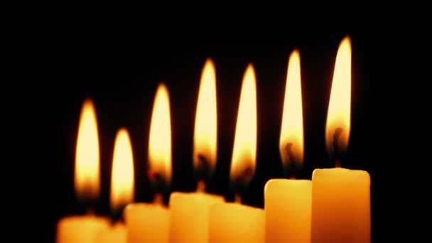 Kerzen Einer Reihe Brennen Und Flackern — Stockvideo
