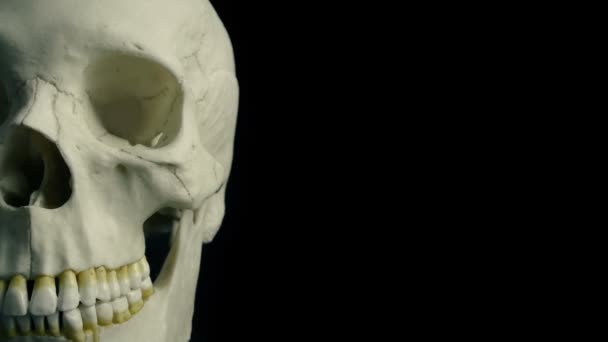 ムーディー ライティングで人間の頭蓋骨を — ストック動画