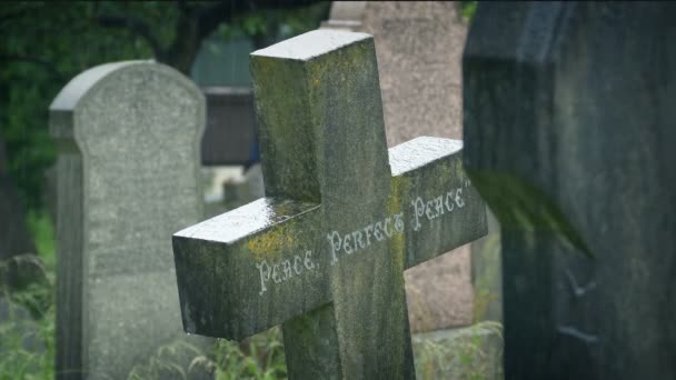 墓碑の間の一般的な十字架 — ストック動画