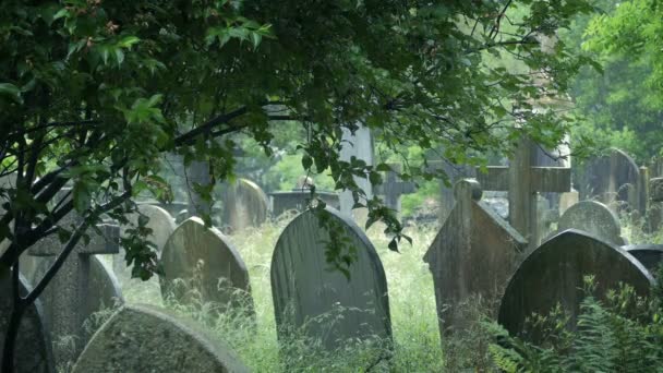 Chuva Pesada Gravestones Pátio Igreja — Vídeo de Stock