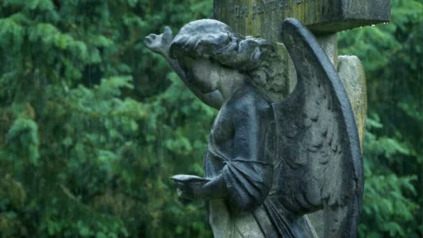 Estátua Anjo Velho Chuva Livre — Vídeo de Stock
