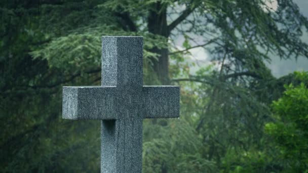 Pioggia Che Cade Sulla Croce Nel Giardino Nel Cimitero — Video Stock