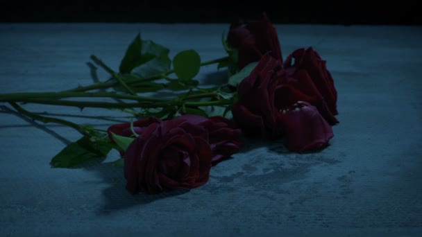 Roses Rouges Tombent Sur Trottoir Dans Noir — Video