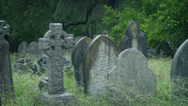 茂密的旧教堂墓地上的古墓上下着大雨 — 图库视频影像