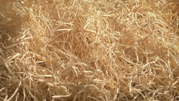 Golden Hay Closeup Μετακίνηση Shot — Αρχείο Βίντεο