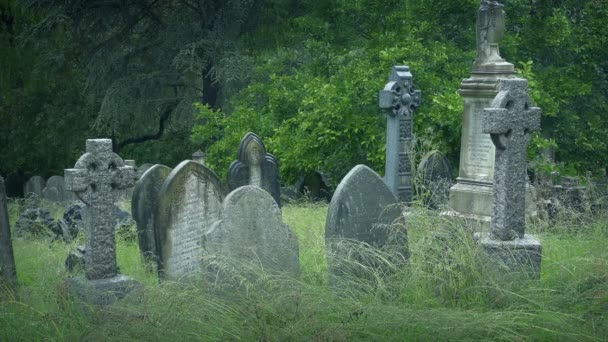 Grave Yard Rain Old Tombstones — Stock Video