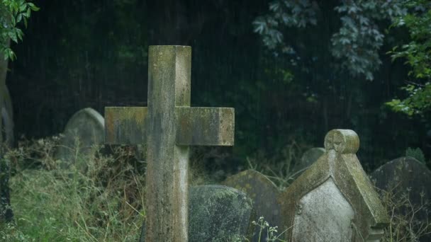 Antiguas Lápidas Envejecidas Día Lluvioso — Vídeos de Stock