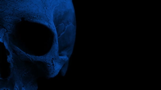 暗闇の中で風化した古い頭蓋骨 — ストック動画