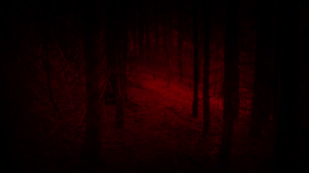 Apertura Espeluznantes Bosques Rojos — Vídeo de stock