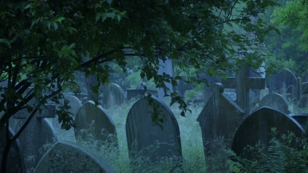 Cimetière Sous Fortes Pluies Tard Dans Journée — Video