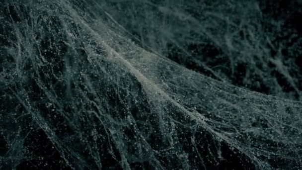 Massor Cobwebs Flytta Utkast — Stockvideo