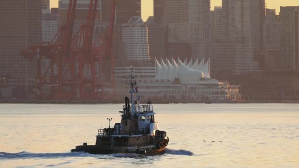 Vancouver Waterfront Διέλευση Βάρκα — Αρχείο Βίντεο