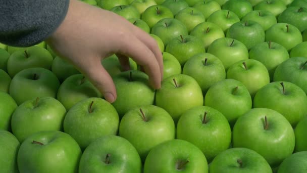 Pomme Est Ramassé Partir Une Grande Sélection — Video