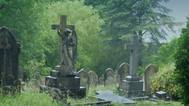 Cimitero Sotto Pioggia Paesaggio — Video Stock