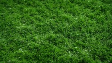 Spor Alanı Hareketi Üzerine Yapay Çimen