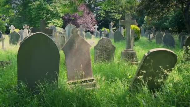 Grave Yard Soliga Breezy Day — Stockvideo