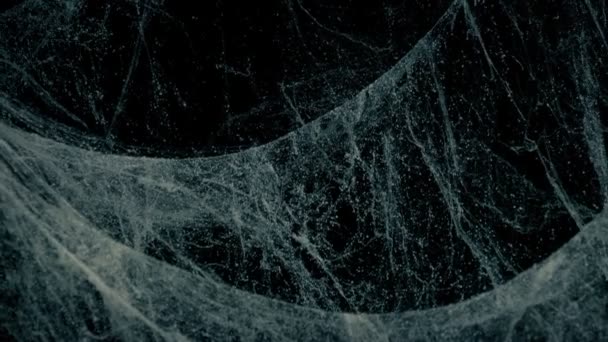 Проходячи Павутиння Темній Кімнаті Крупним Планом — стокове відео