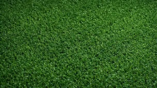 Short Artificial Grass Sports — Stock Video