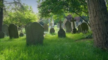 Huzurlu Yapraklı Mezarlıkta Yükselen Manzara