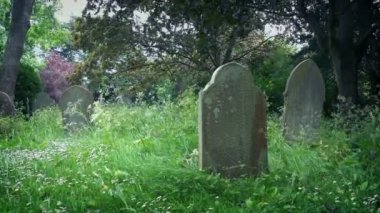 Yıpranmış Mezar Taşlarıyla Eski Aşırı Büyümüş Kilise Bahçesi