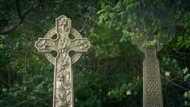 Traditional Celtic Gravestones Windy Day — Stock Video