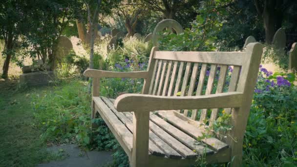 Bank Auf Dem Friedhof Mit Pflanzen Und Blumen — Stockvideo