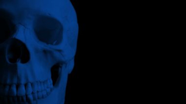 Skull in the Dark Moving shot