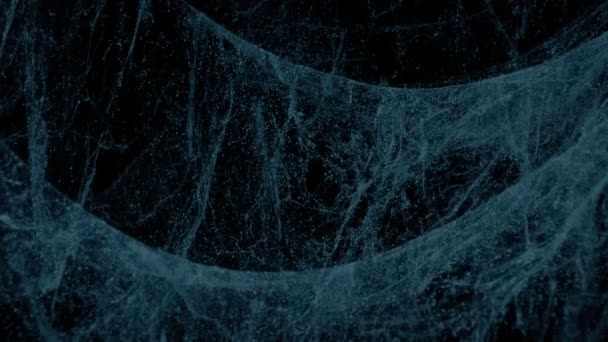 Cobwebs Κινούνται Στην Αναπνοή Στο Σκοτεινό Δωμάτιο — Αρχείο Βίντεο