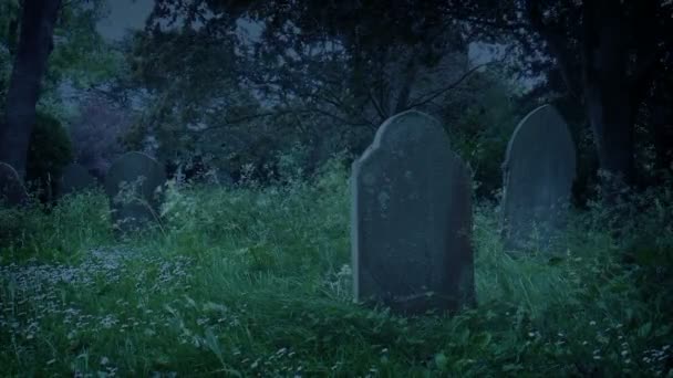 Tumbas Cementerio Barrido Por Viento Tarde Día — Vídeos de Stock