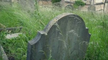 Rüzgarlı bir günde Sallanan Çimlerde Mezar Taşı Geçiyor