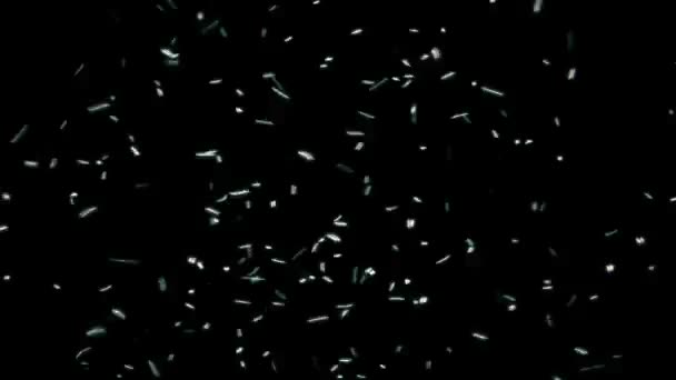 Viele Insekten Fliegen Sonnenlicht Herum — Stockvideo