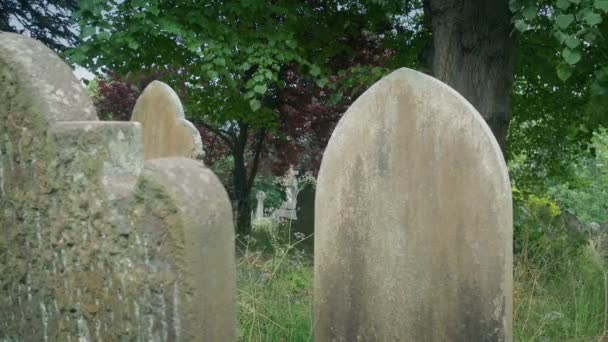 Enkla Gravstenar Ett Lummigt Kyrkogård — Stockvideo
