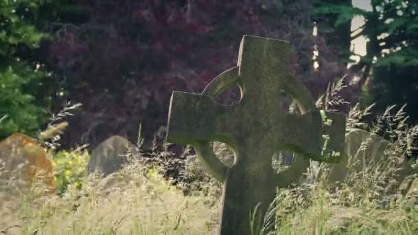 在太阳下的古老墓碑周围吹拂着青草 — 图库视频影像