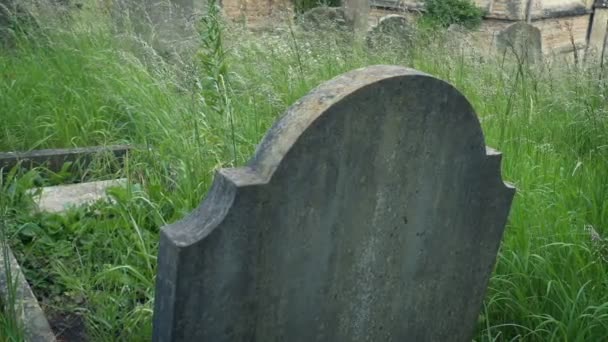 Vorbei Grab Auf Altem Überwucherten Friedhof — Stockvideo