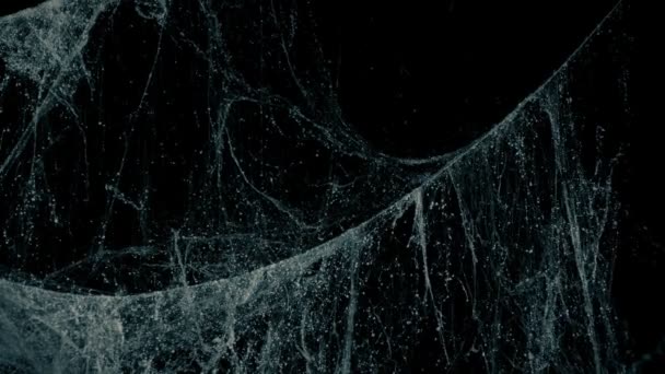 Павутинки Темній Кімнаті Крупним Планом — стокове відео