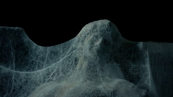 Starożytny Posąg Pokryty Cobwebs Historia Concept — Wideo stockowe