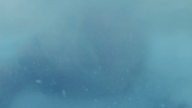 Karlar Düşerken Ölü Uzaylı