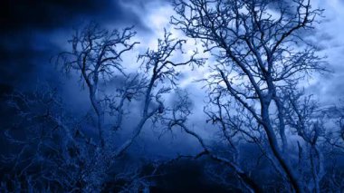 Ağaçların Arkasında Yıldırım Fırtınası Dramatik Gece Manzarası