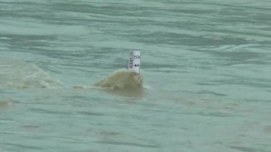 Ganj nehri, Himalaya 'nın yukarısındaki sağanak yağış nedeniyle tam salınımlı, uttarakhand güzel köyünden geçiyor. Nehir seviyesi tehlike işaretine yükseliyor .
