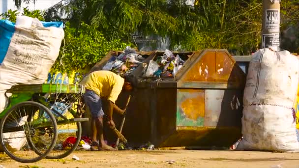 固形水管理工場 Haridwar Uttarakhand India 廃棄物をリサイクルまたは再利用することはそれを有益にする 異なる種類の廃棄物を分別する清掃員 労働者 — ストック動画