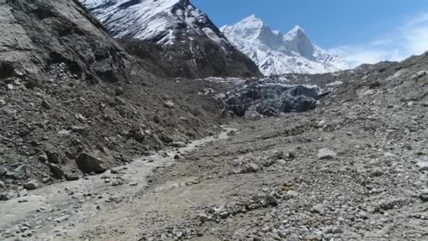 Gomukh Gaumukh Uttarakhand Indiagomukh Término Hocico Del Glaciar Gangotri Fuente — Vídeos de Stock