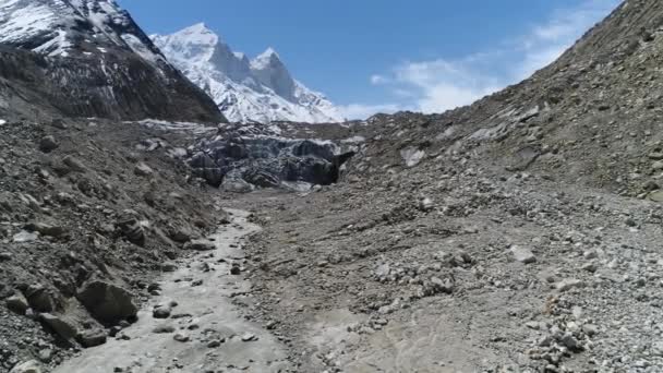 Gomukh Gaumukh Uttarakhand Indiagomukh Término Hocico Del Glaciar Gangotri Fuente — Vídeo de stock